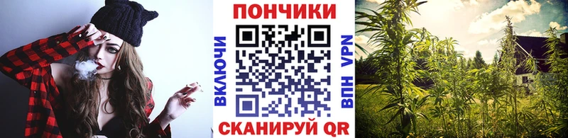 Шишки марихуана White Widow Купить где Шелехов